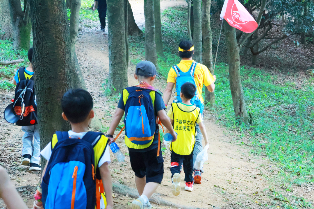 导入.jpg 导入.jpg