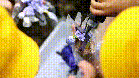 c25db1d41c79f45df560d75c1b3e84e3 (1).gif