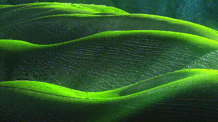 55fa1b3e3254f9152f83611f4ba553d8.gif