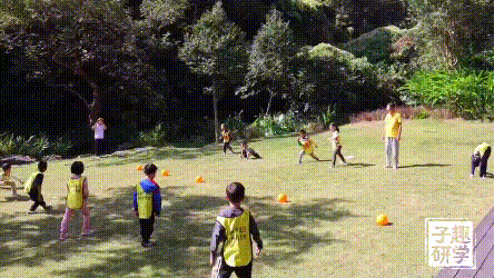 5a139dcaf8373357c7d576dafaa24efb (1).gif