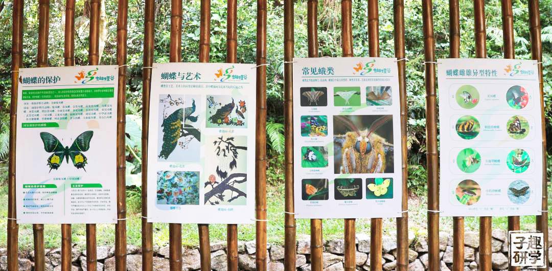 IMG_8888.jpg 3UB3CP8O_SMws.jpg