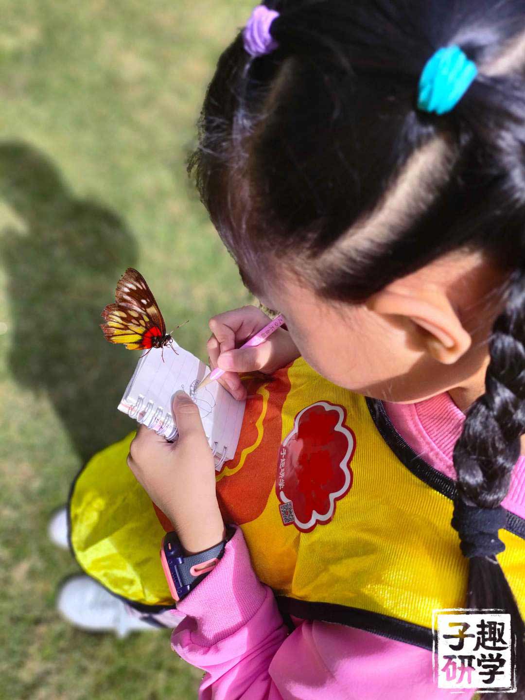 IMG20231119110036(1).jpg U92DBEhX_IyZE.jpg