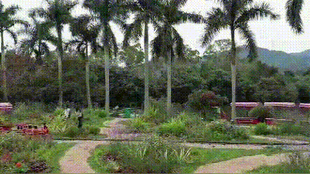 YdY4VzDU_TzOs (2).gif