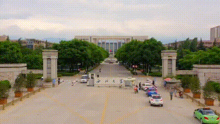 42afd1f301489359454bb711e9bc8ae1 (1).gif