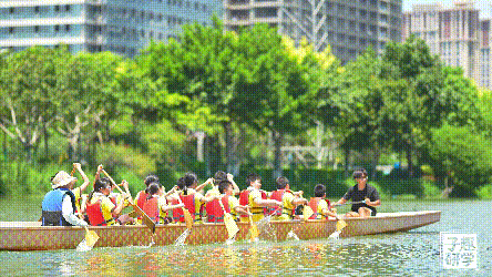 划龙舟1 (1).gif