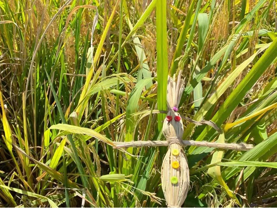 IMG_0681.JPG 图片1(1).png