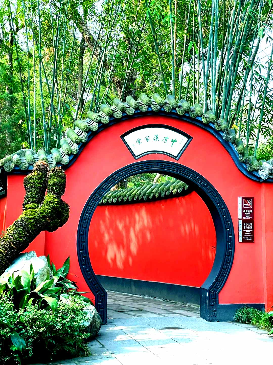 🌿成都武侯祠 红墙绿竹_1_德芙_来自小红书网页版.jpg
