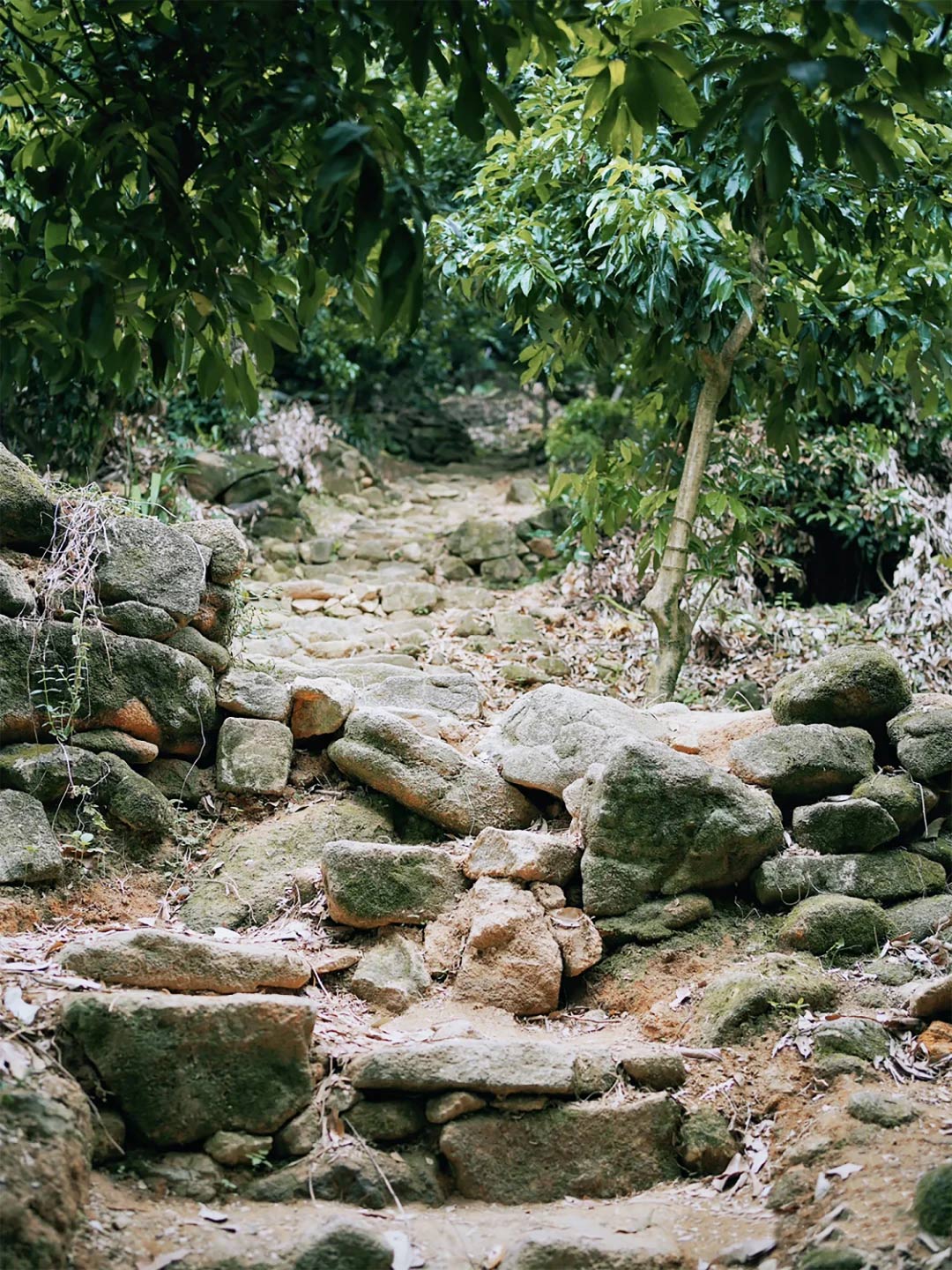 风景1.jpg 风景1.jpg