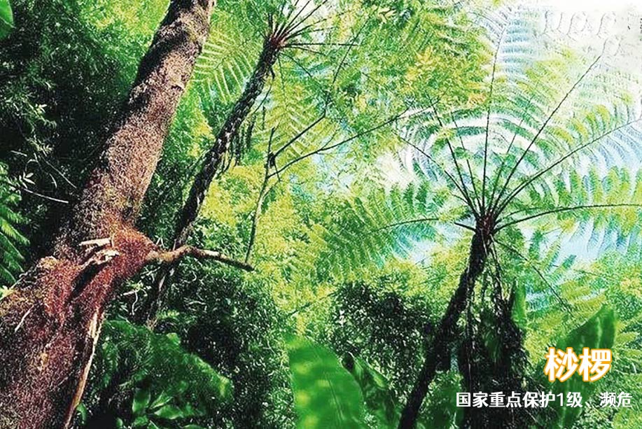 8sVh8sOO_c2A5.jpg